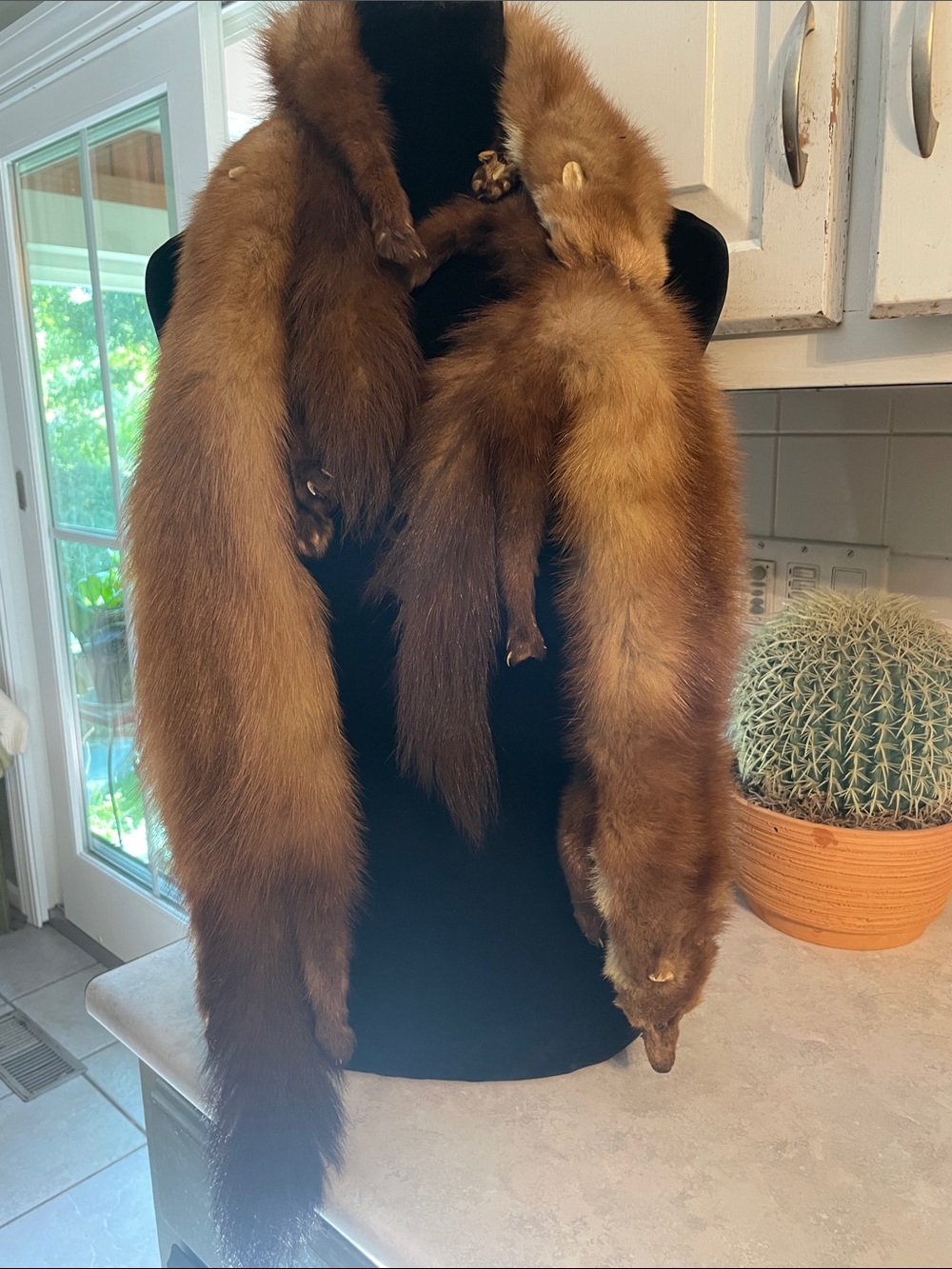 Vintage Full Pelts Mink